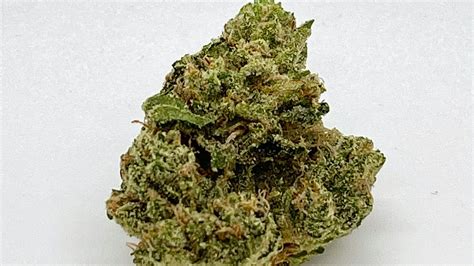 valley vixen|Valley Vixen Strain